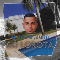 Só Lorota (feat. CaiiqDJ) - Single - MC LK DA VM