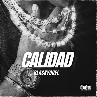 Calidad - Single