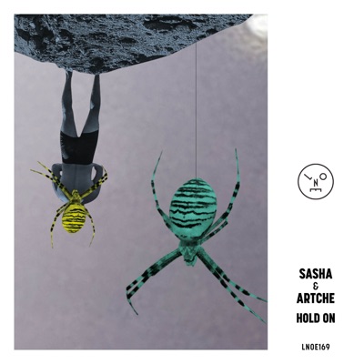 Hold On - Single