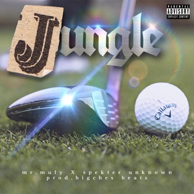 Jungle (feat. Spekter Unknown & BigChes Beats) - Single