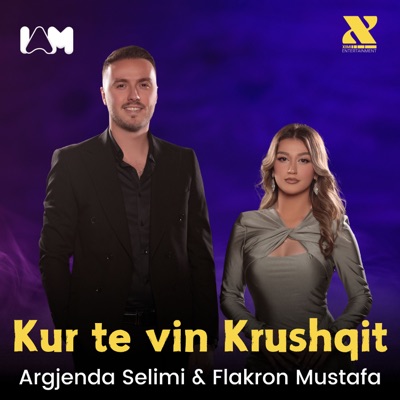 Kur Te Vin Krushqit - Single