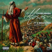 Moses (feat. Brandon Dhludhlu) - Single - chibilibaba