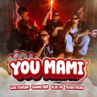 YOU MAMI (feat. Eliel HP, Cuico rojas & Juanki1sr) - Single - Luis Florian & Esteban the Producer