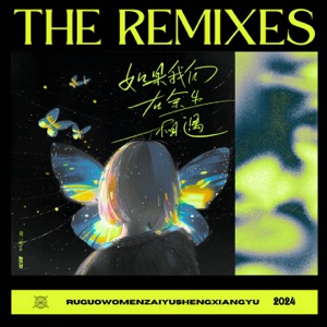 如果我们在余生相遇 (The Remixes) - EP