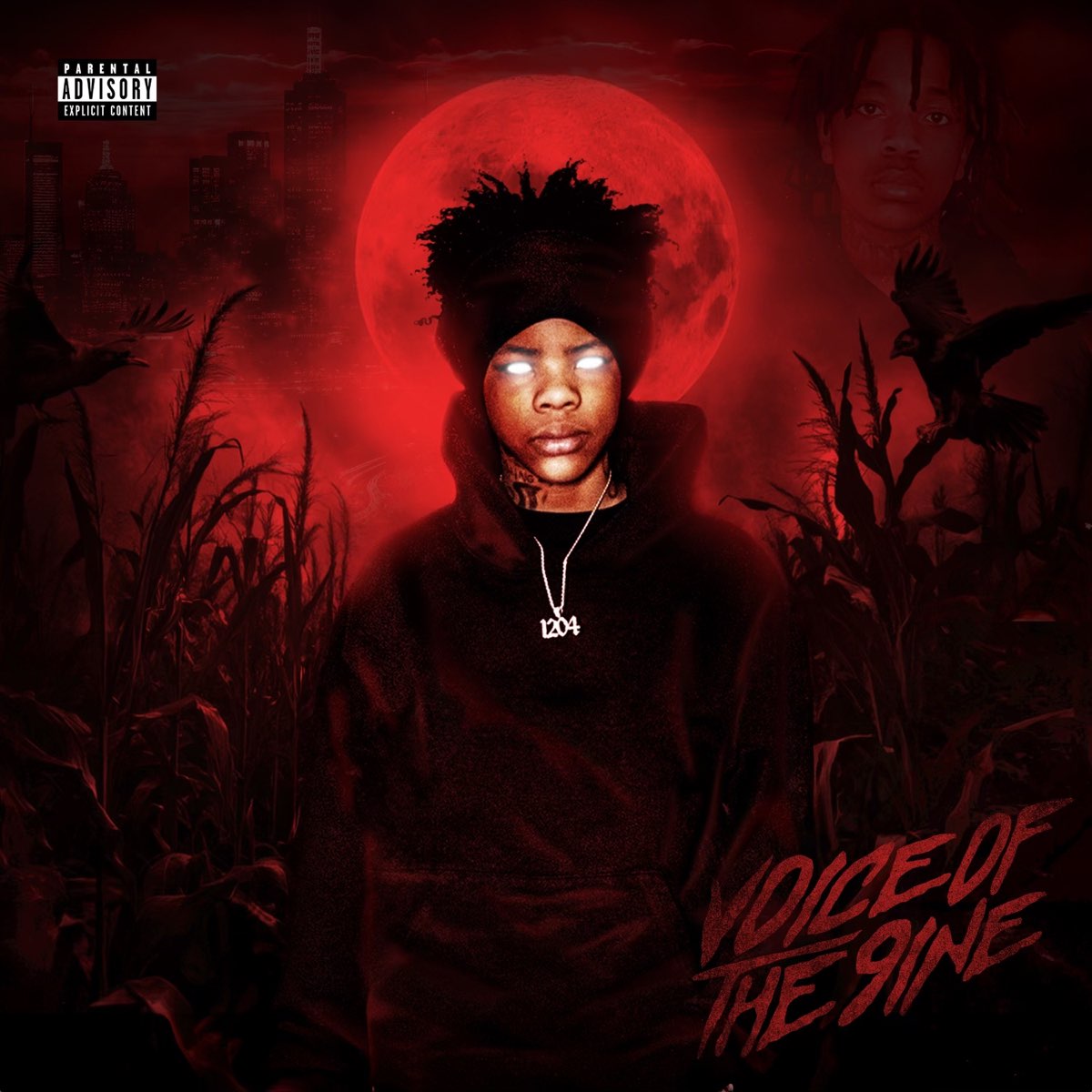 Voice of the 9ine - Album by FullyChop - Apple Music(03)