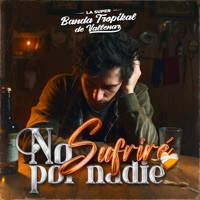 No Sufriré por Nadie - Single - La Banda tropikal De Vallenar