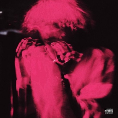 SHEWANNAGETHIGH (feat. Saiz) - Single