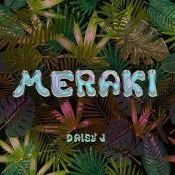 Meraki