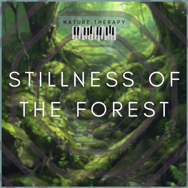 Stillness of the Forest