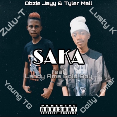 Saka (feat. Lusty K, Young TG, Zulu-T, Landy Ama Gold Boy & Dolly Lamar) - Single