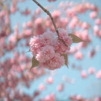 come thru (feat. OKS) - Single - J4rskiii