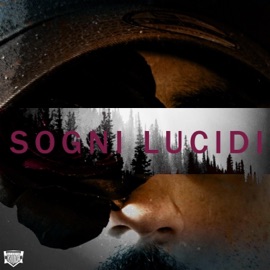 Sogni Lucidi (feat. SR beats) Zog