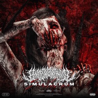 SIMULACRUM - EP - Undead Ronin