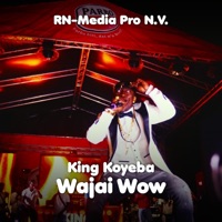 Wajai Wow (feat. King Koyeba) - Single - RN-Media Pro N.V.