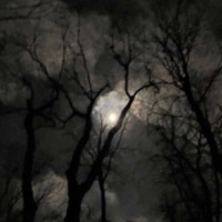 NOJJA - Single - UNKNXWNDXVIL, Voidx & Siles