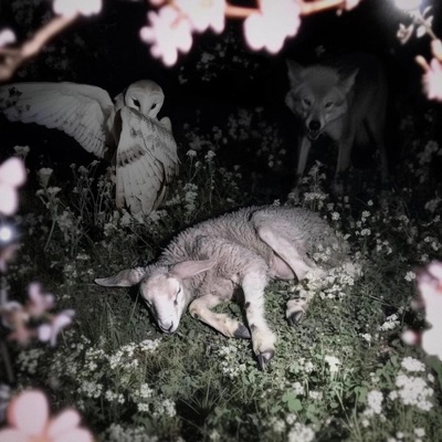 slowly dying under the moonlight - Single