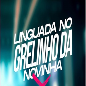 Linguada no Grelinho da Novinha (feat. MC L da Vinte, MC Pkzinho, MC AK & MC Didi)