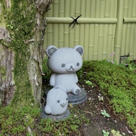 in and outs CapzLock