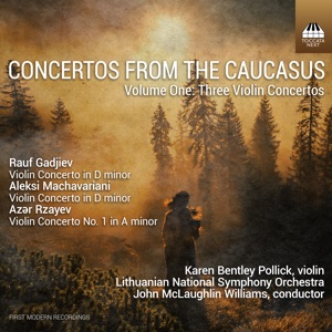 Violin Concerto in D Minor: III. Allegro con brio