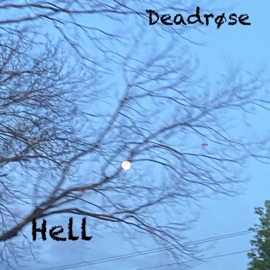 I'm Sorry Dęadrøsę