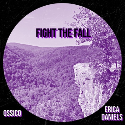 Fight the Fall (VIP House Mix) - Single