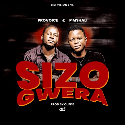 Sizogwera (feat. ProVoice) - Single