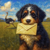 TERMS & CONDITIONS - Single - B.I.Z & Lex Bratcher