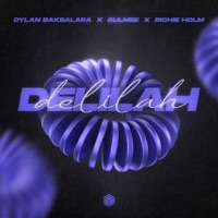 Delilah - Single - Dylan Baksalara, Gulmee & Richie Holm