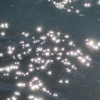 starlight (feat. Apartment9) - EP - Tonedeaf