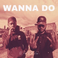 Wanna Do (feat. QFoe) - Single - K-Luv