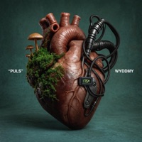 PULS
