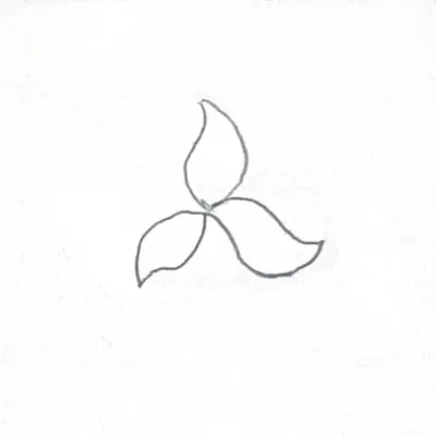 Listen to Flow Room by Shizuki Akirao