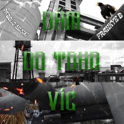 Dám do toho víc (feat. Frankye B) - Single