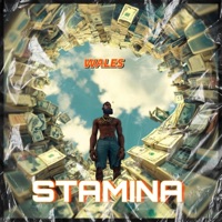 Stamina - Single - Wales