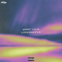 What your looking For - Single - Devo3x