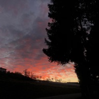 immer wenn es nacht wird - Single - ohcringyy