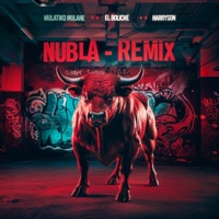 NUBLA (Remix) [feat. Morffa La Promo] - Single - El Boliche, Harryson, Troya's Music & Mulatiko Mulañe