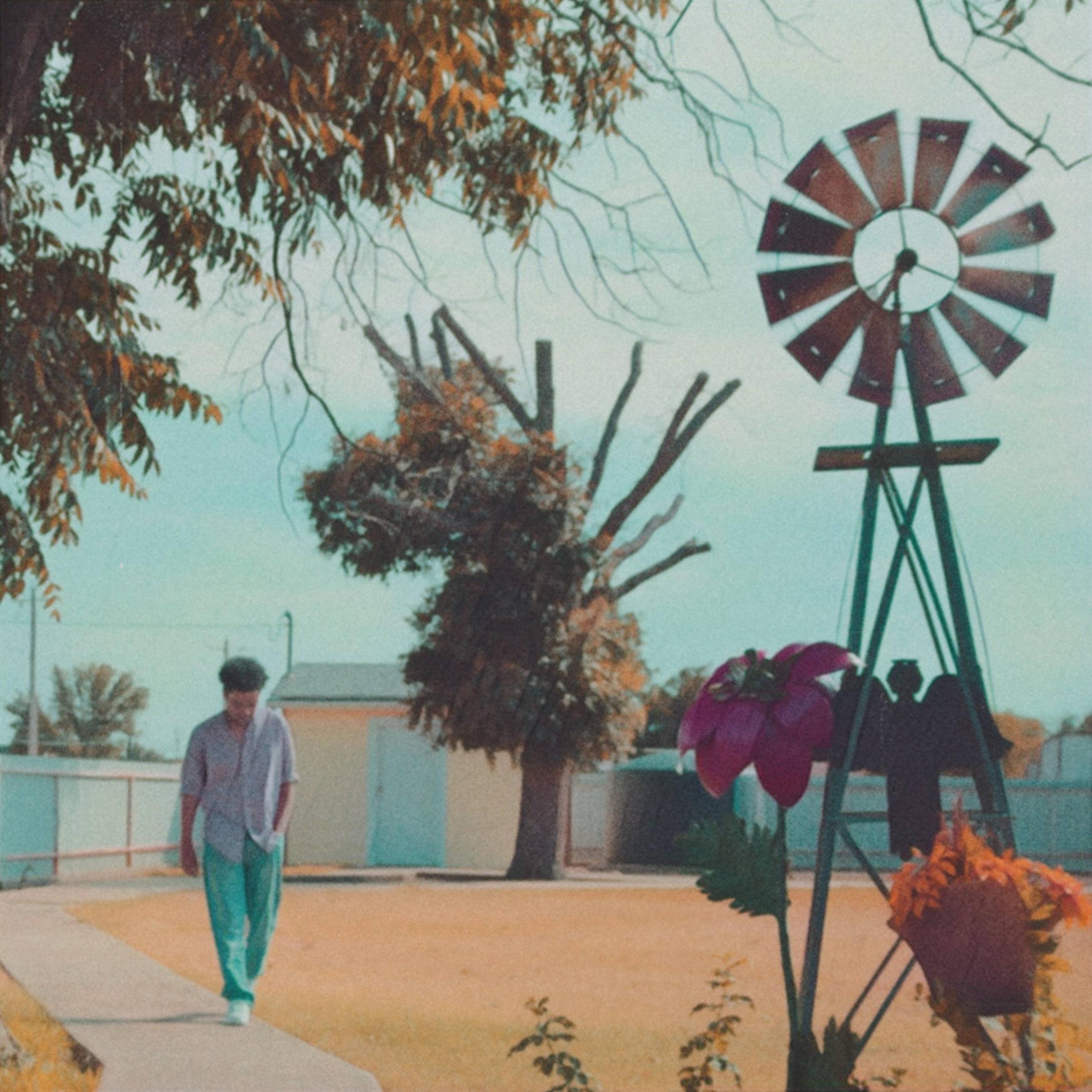 Zebra Troop - california to the moon