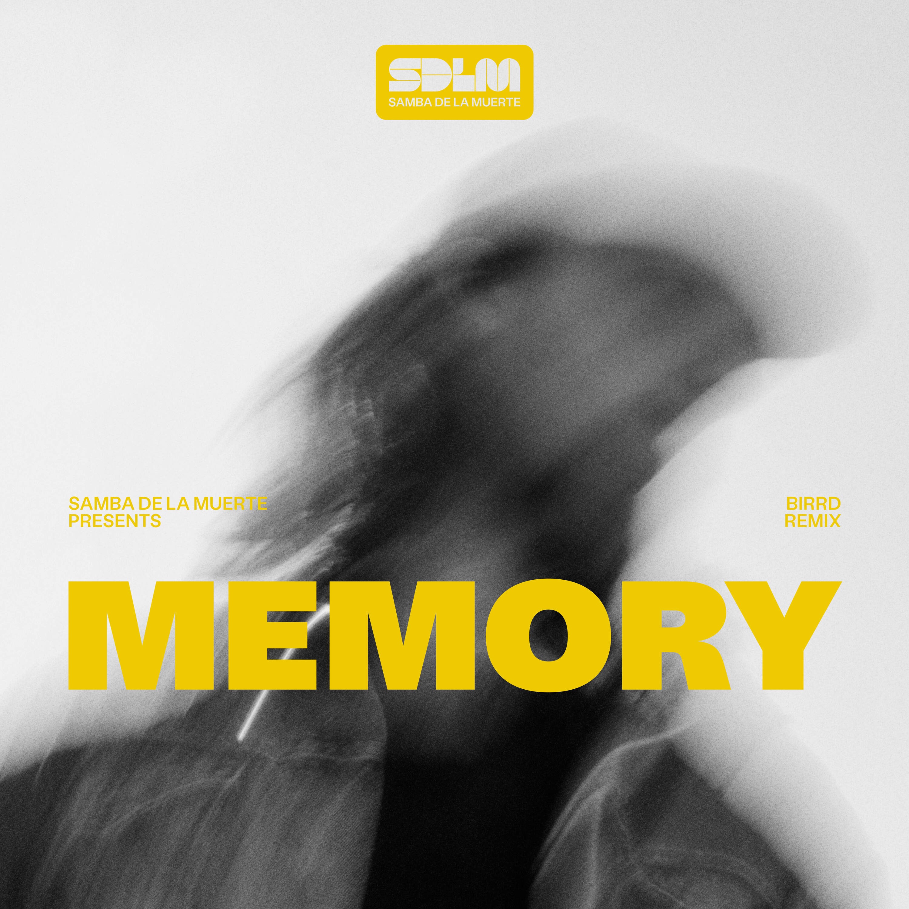 Memory (feat. Birrd) [Birrd Remix] - Single