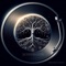 Sephiroth - Samadhy Music lyrics