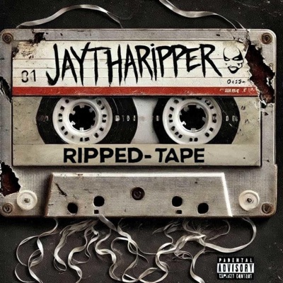 Something In The Way (Ripped&Remix'd) - Single