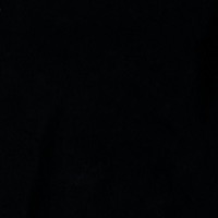 FYI - Single - Veloris