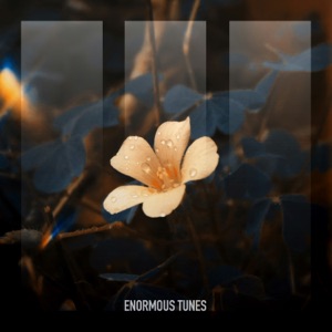 Bloom in the Ashes - Single