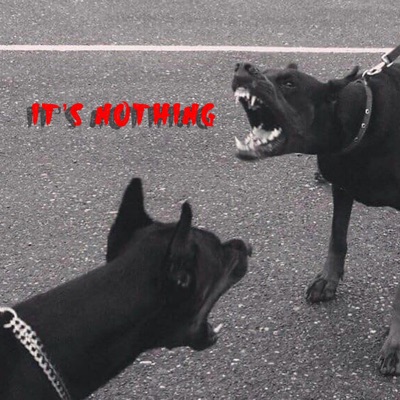 It's Nothing - Single