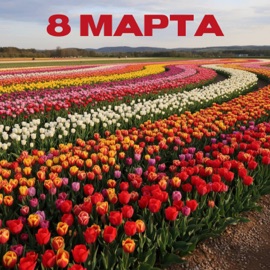 8 МАРТА RS Music, Павел Стоков & SHuSHa