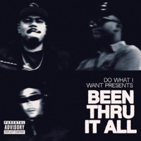 BEEN THRU IT ALL (feat. Notkyle) - Single - DO WHAT I WANT & Darrell Medellin