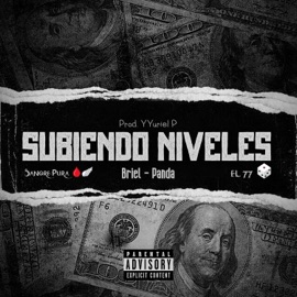 Subiendo Niveles (feat. Briel & Panda) YYuriel P