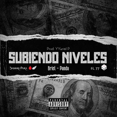 Subiendo Niveles (feat. Briel & Panda) - Single