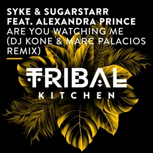 Are You Watching Me (DJ Kone & Marc Palacios Remix) [feat. Alexandra Prince] - Single