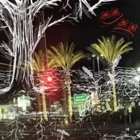 injured eyes - Single - Timentes
